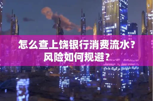 怎么查上饶银行消费流水?风险如何规避?