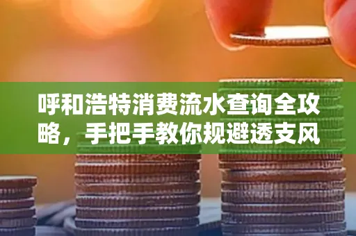呼和浩特消费流水查询全攻略,手把手教你规避透支风险 呼和浩特消费流水查询全攻略,手把手教你规避透支风险