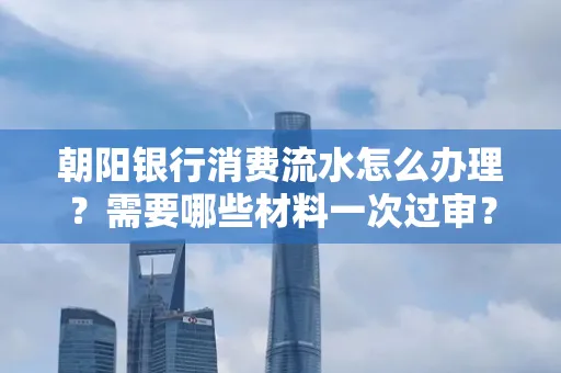 朝阳银行消费流水怎么办理?需要哪些材料一次过审?