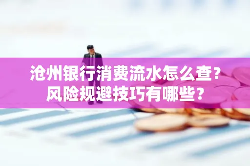 沧州银行消费流水怎么查?风险规避技巧有哪些?