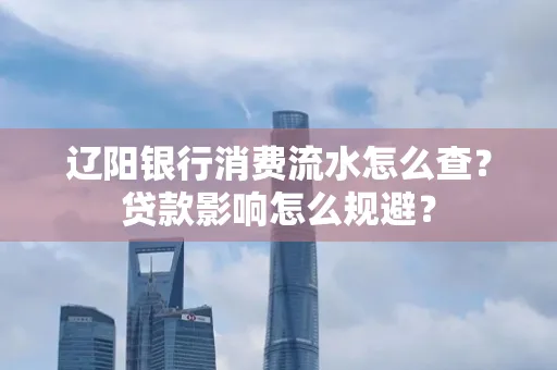 辽阳银行消费流水怎么查?贷款影响怎么规避?