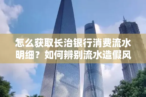 怎么获取长治银行消费流水明细?如何辨别流水造假风险?