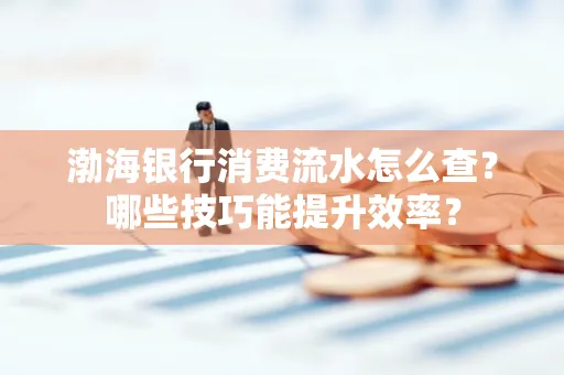 渤海银行消费流水怎么查?哪些技巧能提升效率?