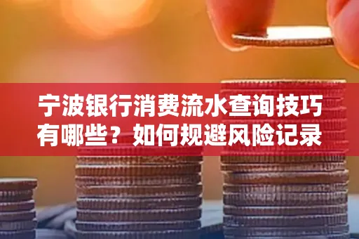 宁波银行消费流水查询技巧有哪些?如何规避风险记录?