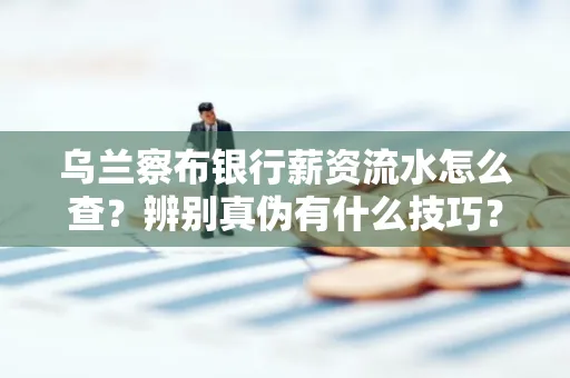 乌兰察布银行薪资流水怎么查?辨别真伪有什么技巧?