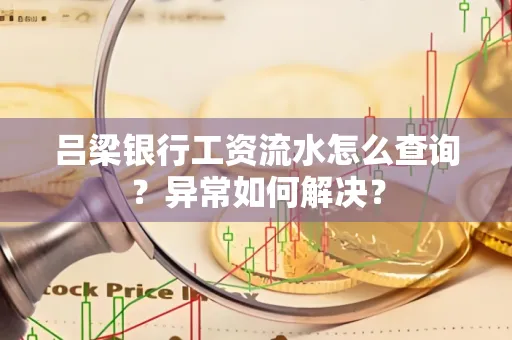 吕梁银行工资流水怎么查询?异常如何解决?