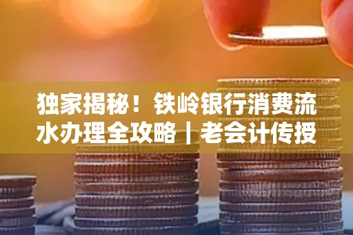 独家揭秘!铁岭银行消费流水办理全攻略|老会计传授防诈技巧