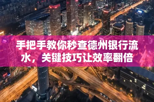 手把手教你秒查德州银行流水,关键技巧让效率翻倍