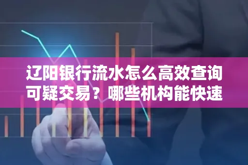 辽阳银行流水怎么高效查询可疑交易?哪些机构能快速分析账单风险?