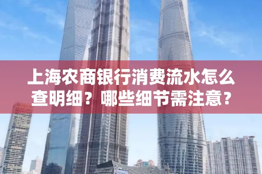 上海农商银行消费流水怎么查明细?哪些细节需注意?