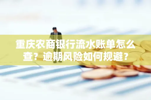 重庆农商银行流水账单怎么查?逾期风险如何规避?