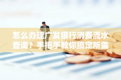 怎么办理广发银行消费流水查询?手把手教你搞定所需材料和流程