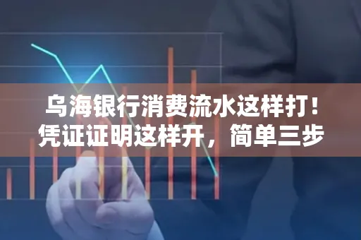 乌海银行消费流水这样打!凭证证明这样开,简单三步轻松搞定