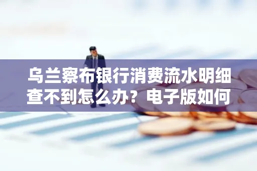 乌兰察布银行消费流水明细查不到怎么办?电子版如何获取攻克技巧?