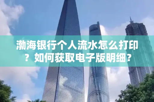 渤海银行个人流水怎么打印?如何获取电子版明细?