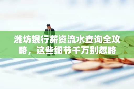 潍坊银行薪资流水查询全攻略,这些细节千万别忽略