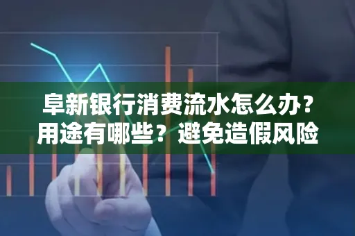 阜新银行消费流水怎么办?用途有哪些?避免造假风险方法