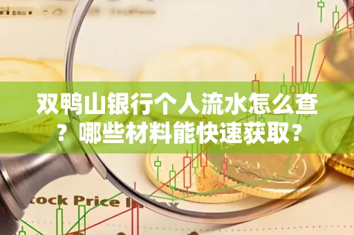 双鸭山银行个人流水怎么查?哪些材料能快速获取?