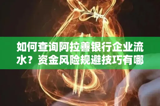 如何查询阿拉善银行企业流水?资金风险规避技巧有哪些?