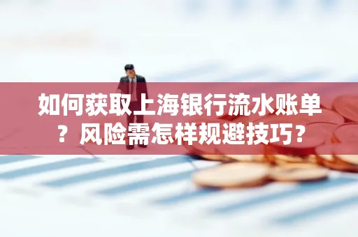 如何获取上海银行流水账单？风险需怎样规避技巧？