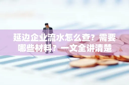 延边企业流水怎么查?需要哪些材料?一文全讲清楚