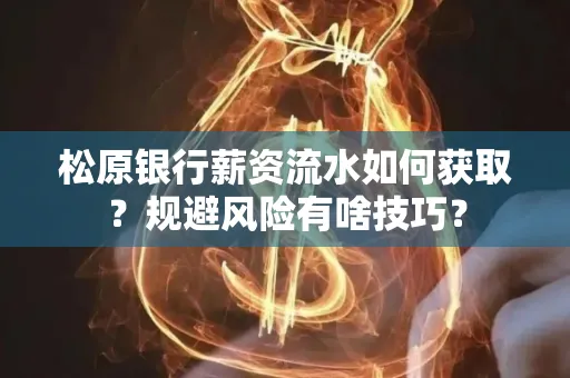 松原银行薪资流水如何获取?规避风险有啥技巧?