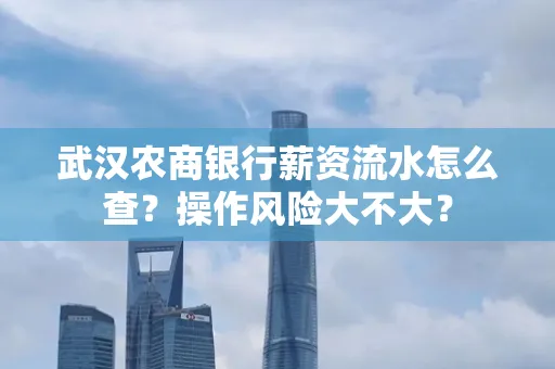武汉农商银行薪资流水怎么查?操作风险大不大?