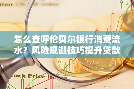 怎么查呼伦贝尔银行消费流水?风险规避技巧提升贷款率? 怎么查呼伦贝尔银行消费流水?风险规避技巧提升贷款率?