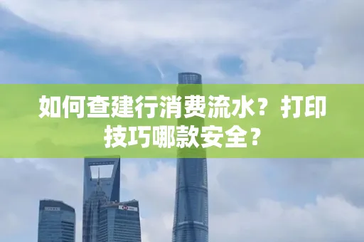 如何查建行消费流水?打印技巧哪款安全? 如何查建行消费流水?打印技巧哪款安全?
